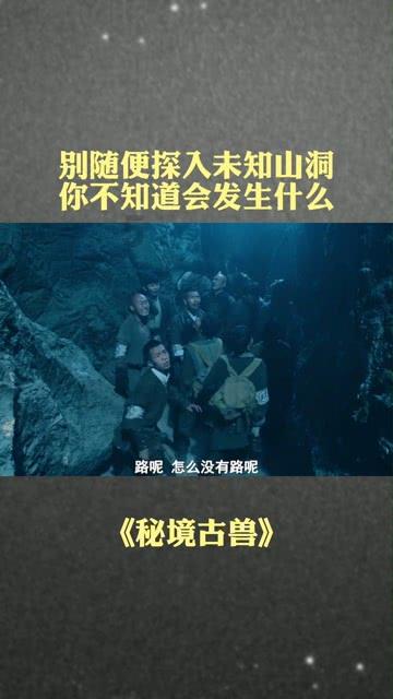 御龙在天